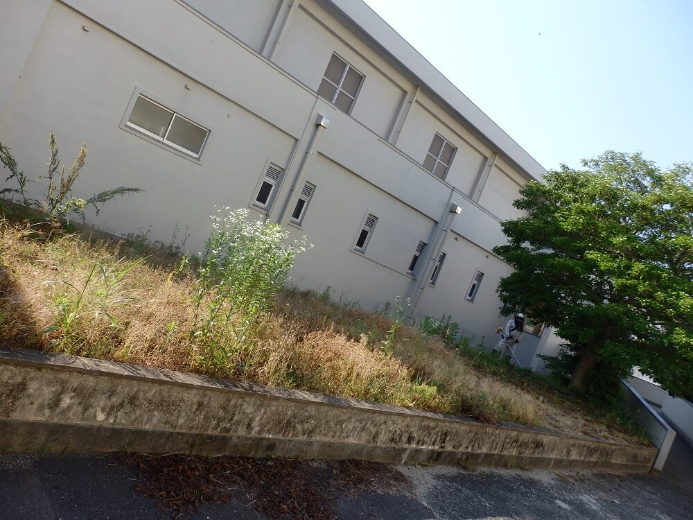 180602-08.jpg