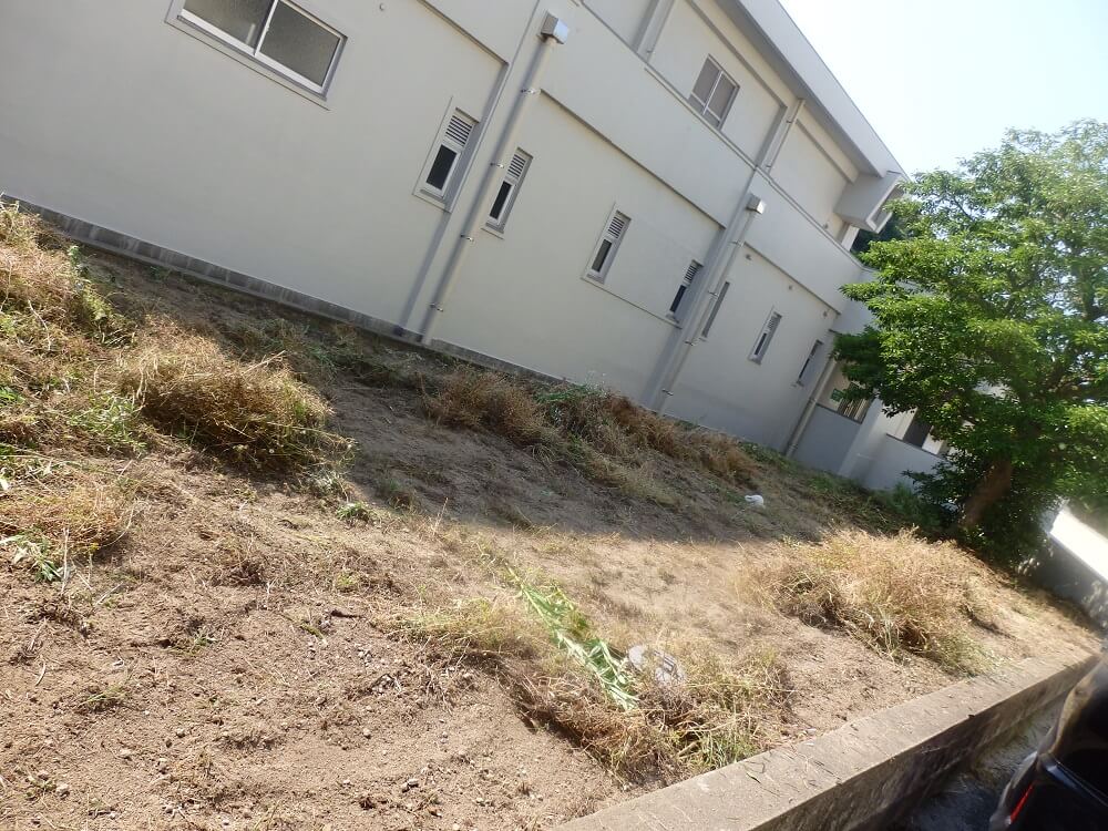 180602-12.jpg