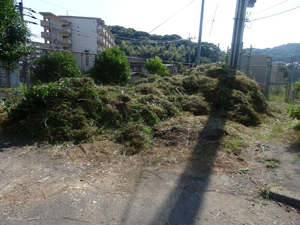 180602-14.jpg