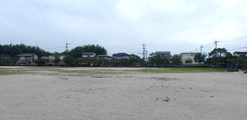 草刈り前