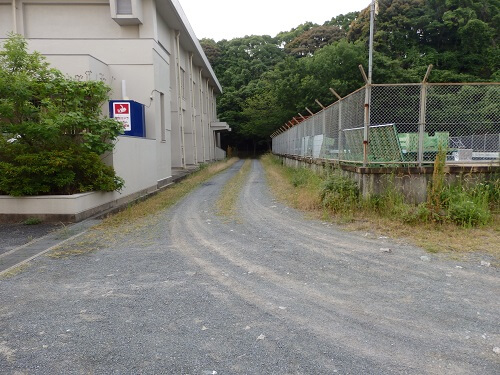 プールと体育館の間草刈り除草前
