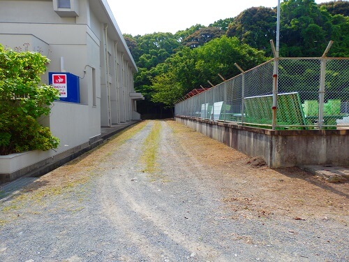 プールと体育館の間草刈り除草後