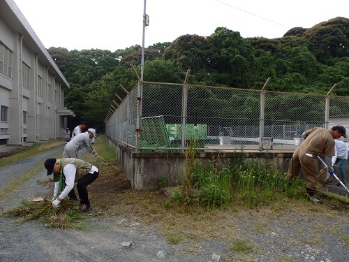 プールと体育館の間草刈り除草中