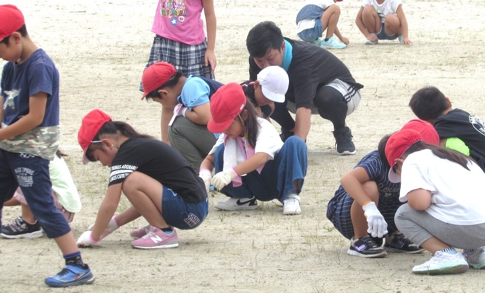 赤い帽子1年生が草抜きをしている写真