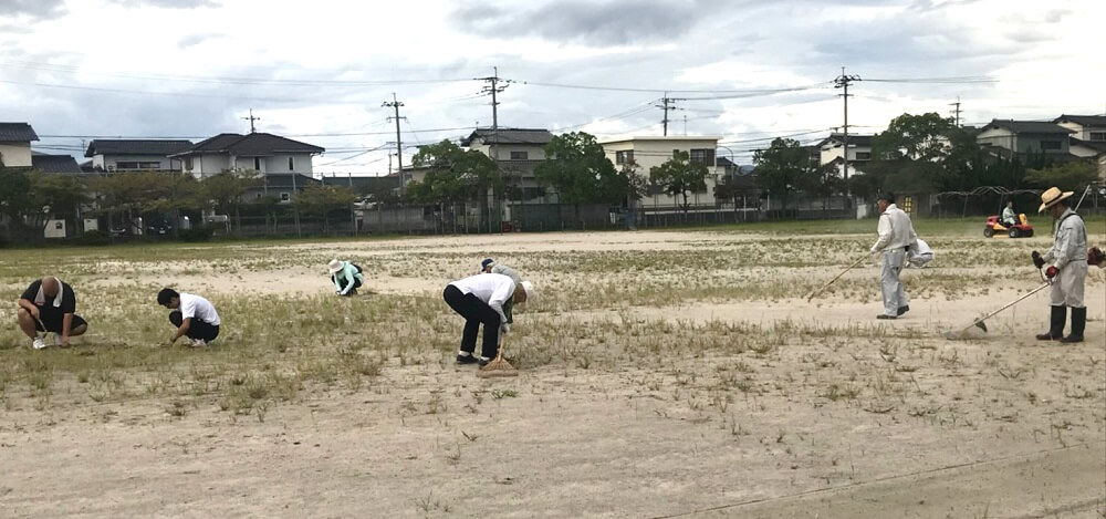 草刈り、草抜きをしている写真