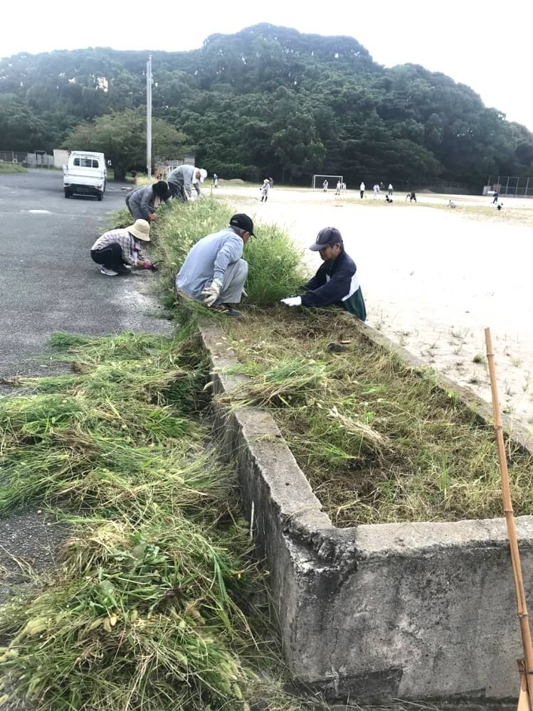 草抜きの様子の写真