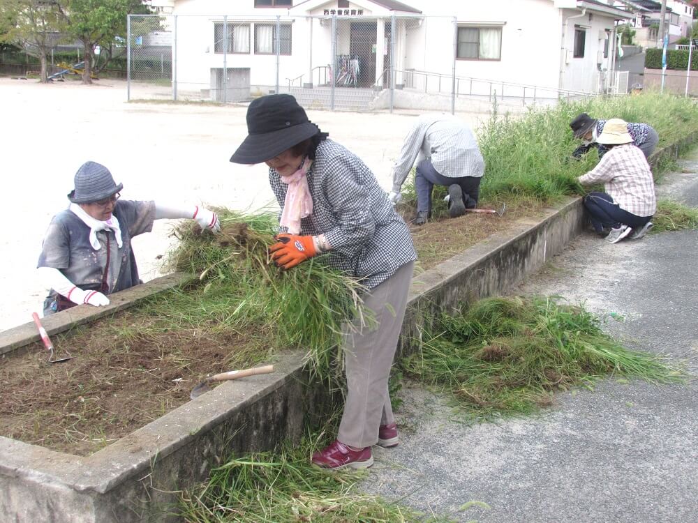草抜きの様子の写真