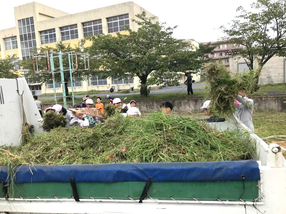 トラックに山積みの写真