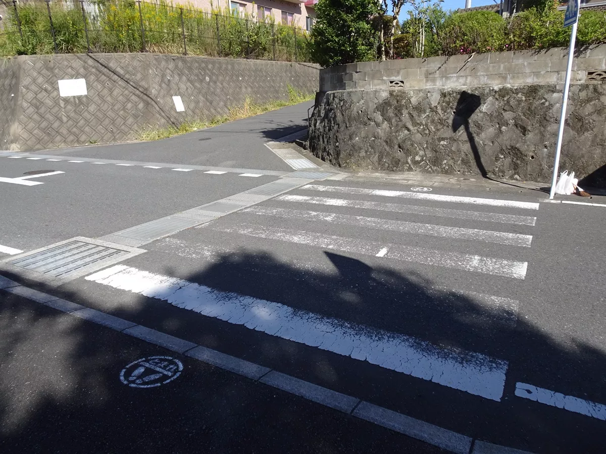 横断歩道南側更新前の様子