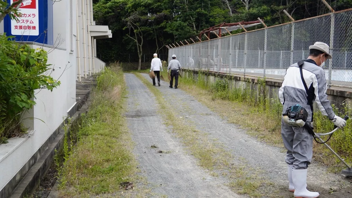 プール・体育館間除草の様子