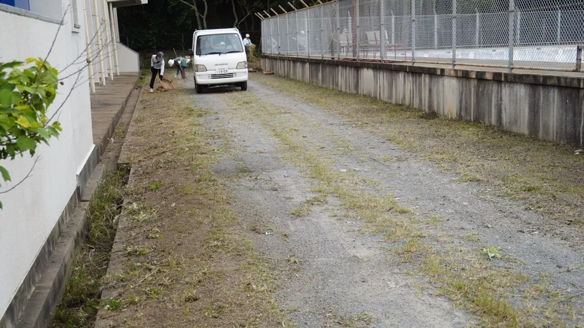 プール・体育館間除草後の様子