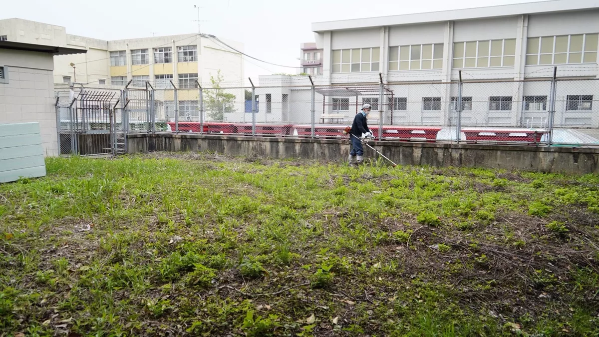 プール南側除草の様子