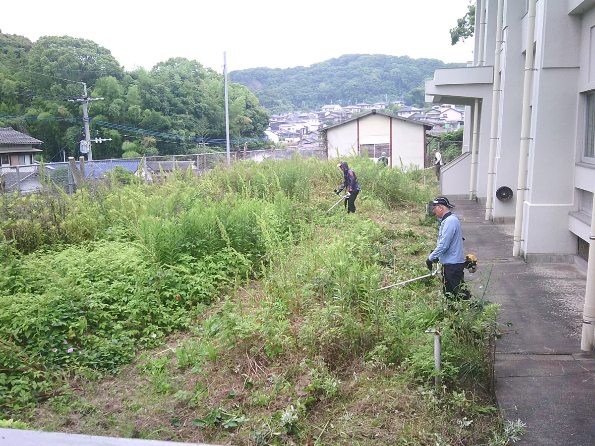体育館北側での除草作業の様子
