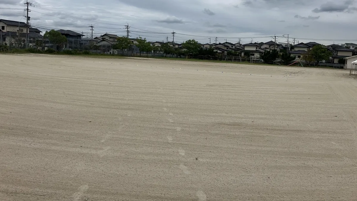 レーキ後の様子