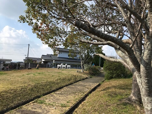 しまうま公園整備の様子